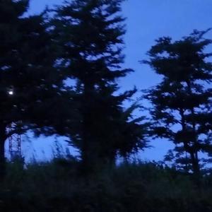 冷板凳intro 翻唱