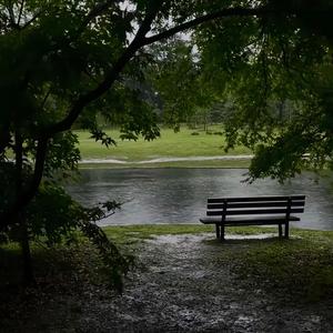 等一场雪停 等下一个自己