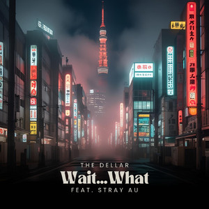 Wait...What (feat. stray AU)