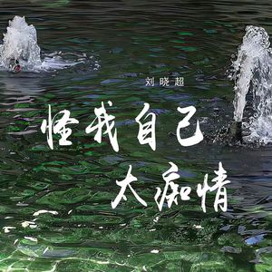 怪我自己太痴情