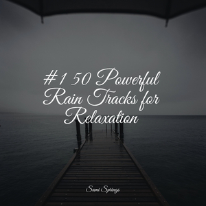 Wetland, Rain, Puddle, Frogs