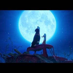 Climb over the fence