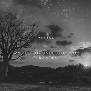 Mysterious Underground Survivors