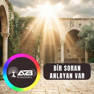 BİR SORAN ANLAYAN VAR