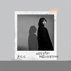 我愿意平凡的陪在你身旁 (DjYaha版)