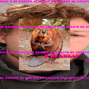 Я Не Бобер