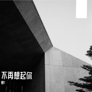 不再想起你
