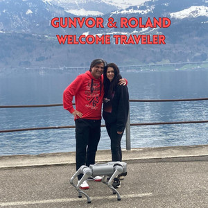 Welcome traveler (Radio Edit)