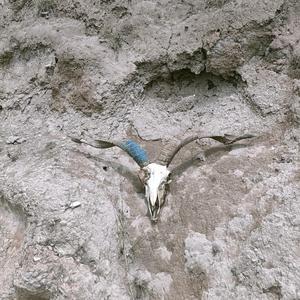 闽南语DJ抖音最火