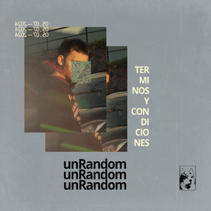Términos & Condiciones