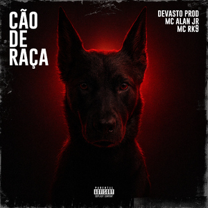 Cão de raça