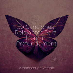 Visiones Inspiradoras