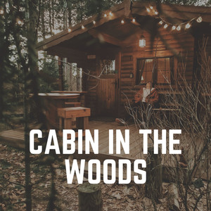 Cabin Asmr