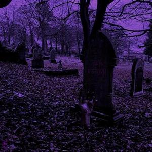 demise