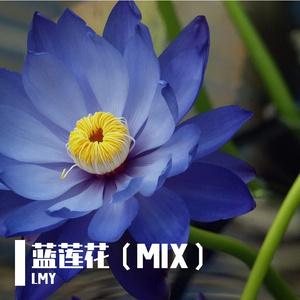 许巍-blue lotus（LMY remix）