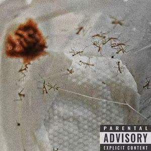 螳螂 prod.by Ras-Hop x ANALOGIC