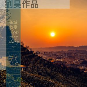 茶城故事