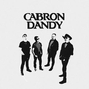 Adiestramiento encubierto