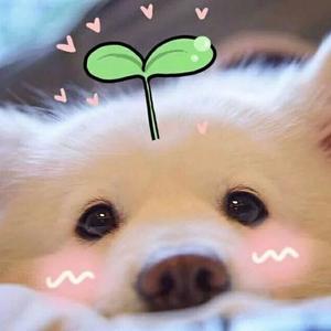 神的随波逐流【中文填词】