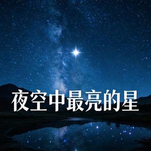夜空中最亮的星（卡点节奏版）