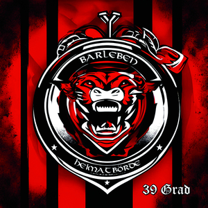 Fsv Barleben (Mein Verein)