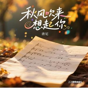 秋风吹来想起你 (纯音乐)