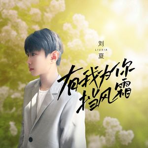 有我为你挡风霜