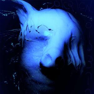 חשמל (Special Version)