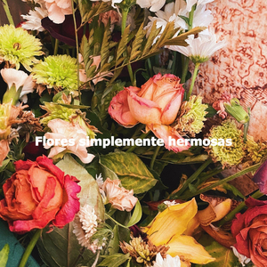 Dashing Moods for Daily Nature Experiences