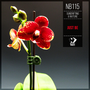 Can You Hear the Silence (Original Mix)