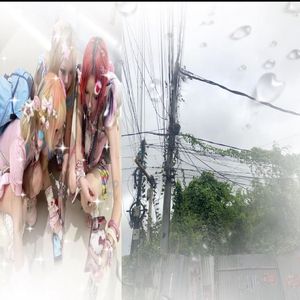 *N0 Result*无结果[p+vuksai&glacies]