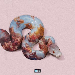 是爱太疯狂还是我