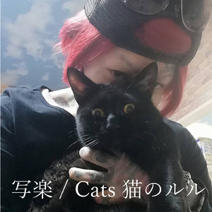 Cats 猫のルル
