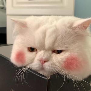 썸 탈꺼야 (Some) （翻自 脸红的思春期）