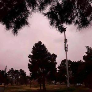 Maddona (The Girl Across The Street, With No Shoes On Her Feet Remix)