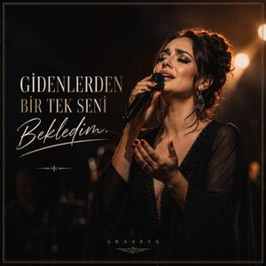 Gidenlerden Bir Tek Seni Bekledim