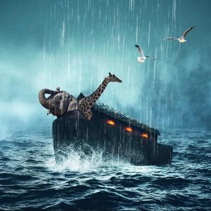 Noah (feat. Sofi Berro)