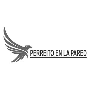 perreito en la pared