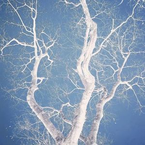 「BEAT」Juice WRLD × Trippie Redd Type Beat-'ACZ'