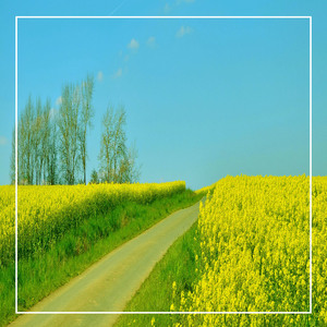 좋은 영향을 주는 뉴에이지 피아노