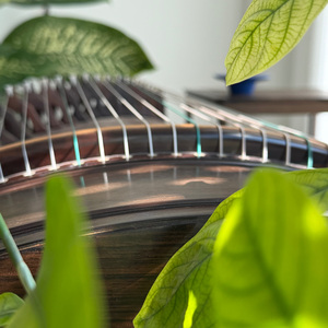 舍得（古筝版）.wav