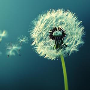 Louder Than Your Noise