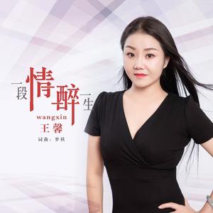 一段情醉一生 (伴奏)