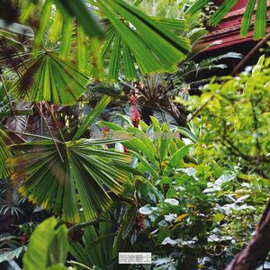 适合在家里工作陶醉的音乐