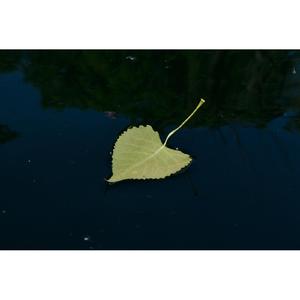 초라한 내 모습