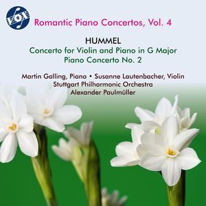 Concerto for Violin and Piano in G Major, Op. 17:I. Allegro con brio