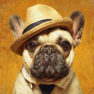 Peace Found in a Regular Spot