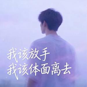 我该放手我该体面离去  (Remix)