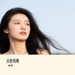 白色玫瑰 (Cover 张茜)