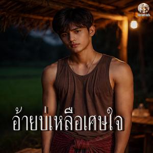 อ้ายบ่เหลือเศษใจ